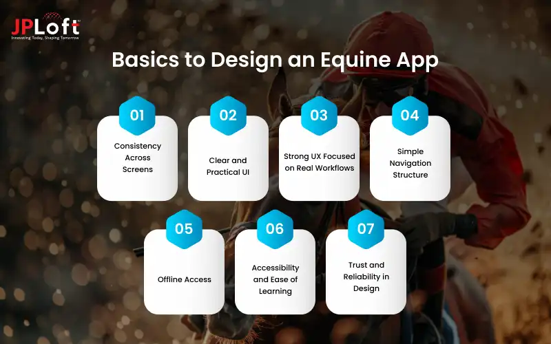 Basics to Design an Equine App